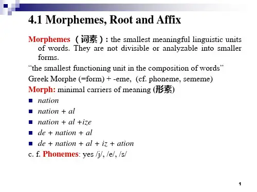 英语词汇学4PPT课件