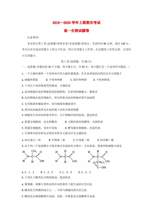 河南省-郑州市-高一生物上学期期末考试试题.doc