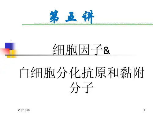 细胞因子概述