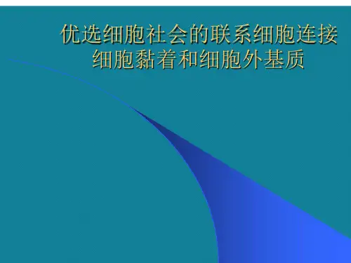 优选细胞社会的联系细胞连接细胞黏着和细胞外基质