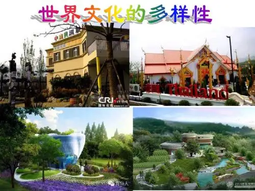 文化多样性