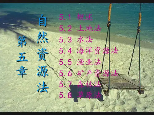 《自然资源法》PPT课件