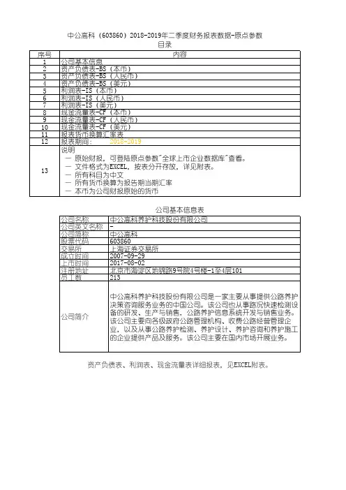 中公高科(603860)2018-2019年二季度财务报表数据-原点参数
