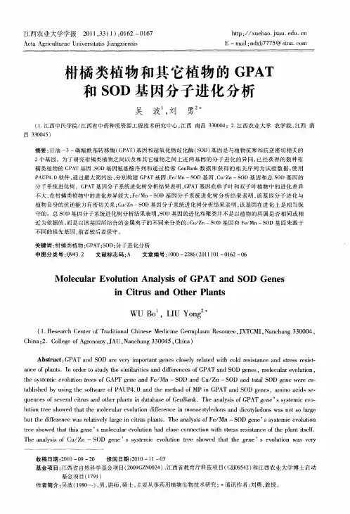 柑橘类植物和其它植物的GPAT和SOD基因分子进化分析