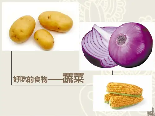 中班好吃的食物。蔬菜。学习资料