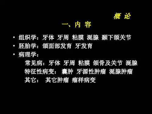 概论釉质
