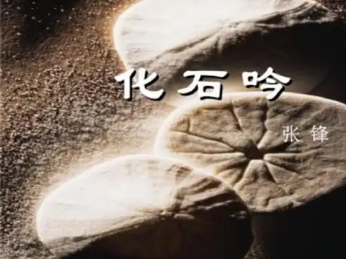 部编新人教版七年级语文上册第五单元21化石吟PPT