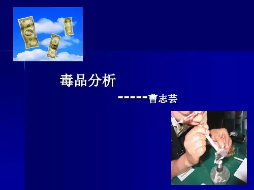 分析化学研究性学习   毒品分析