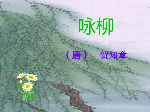 古诗赏析-咏柳