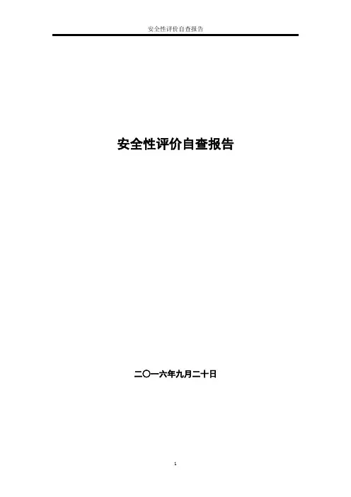2016年某公司安全性评价自评报告