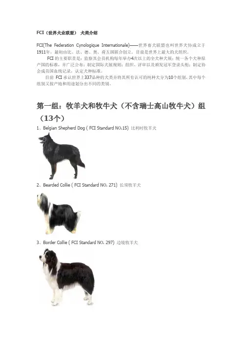 FCI犬类介绍