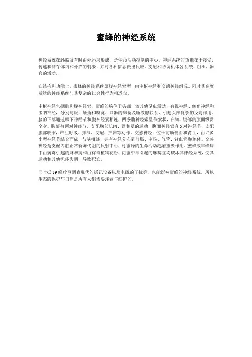 蜜蜂的神经系统