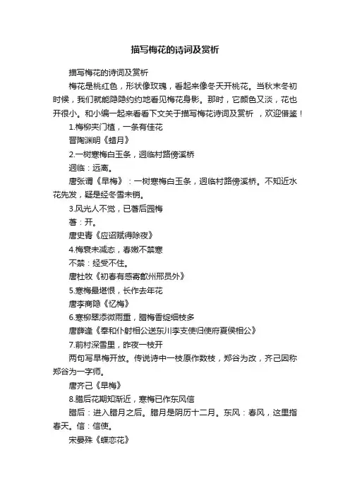 描写梅花的诗词及赏析