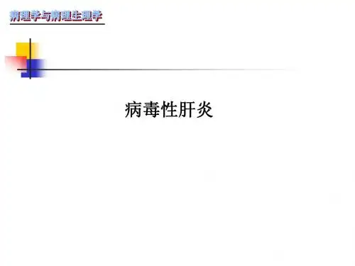 病毒性肝炎 肝硬化