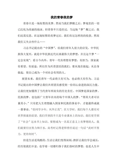 我的青春我的梦.