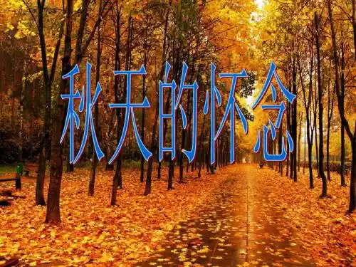 2秋天的怀念