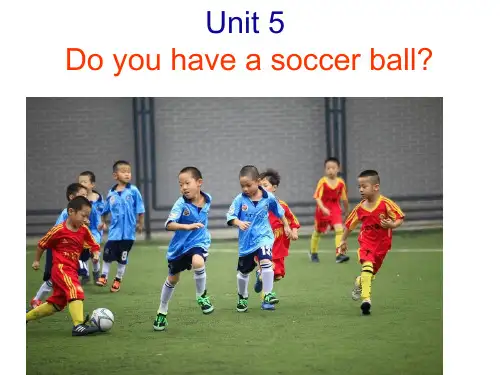 英语人教新目标七年级上册Unit 5 Do you have a soccer ball