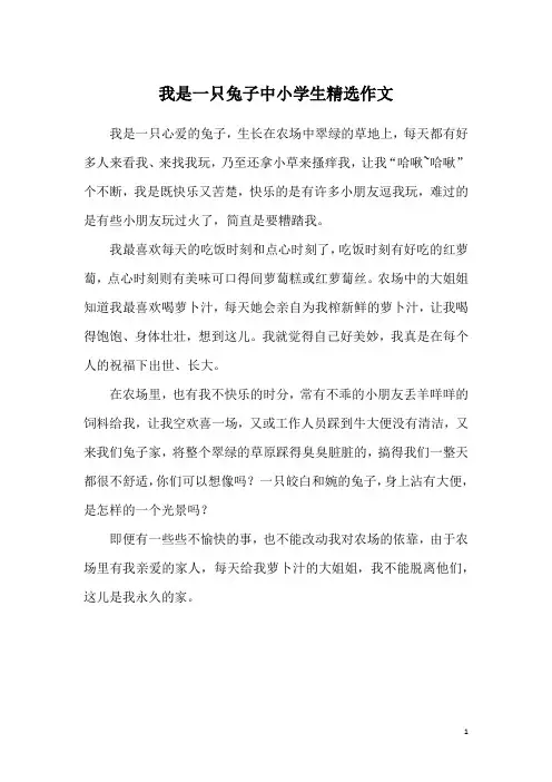 我是一只兔子中小学生精选作文