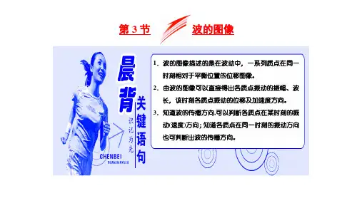 第二章 第3节 波的图像