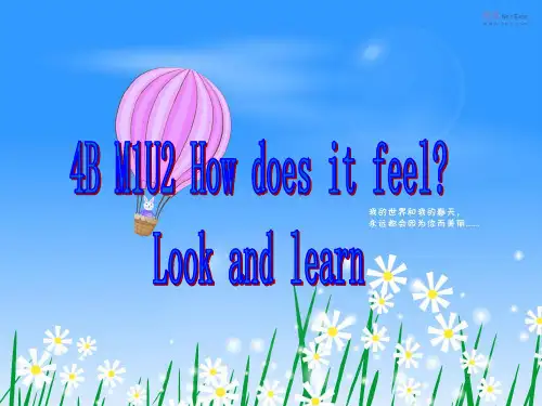 4B M1U2 look and learn上海牛津英语