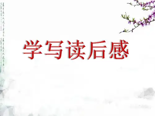 作文教学《读后感》