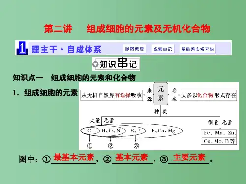 高三生物一轮复习 第一单元 细胞及其分子组成 第二讲 组成细胞的元素及无机化合物课件(必修1)