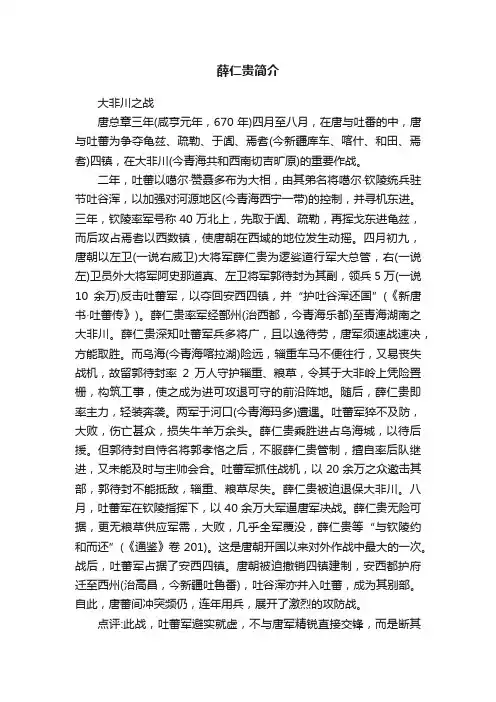 薛仁贵简介