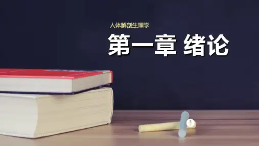 解剖生理学 绪论