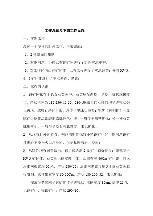 工作阶段总结及下步工作设想