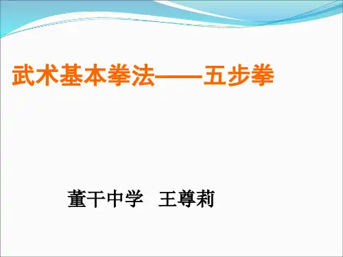 初中体育武术基本拳法教案PPT