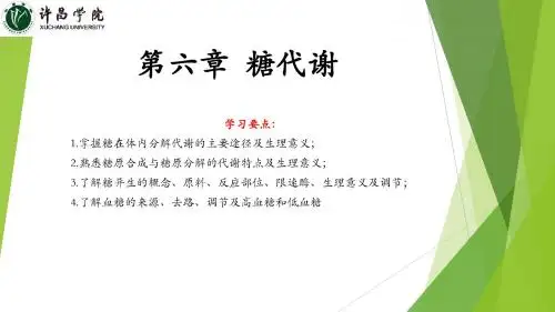 第六章  糖代谢