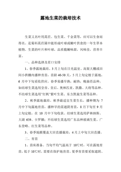 露地生菜的栽培技术