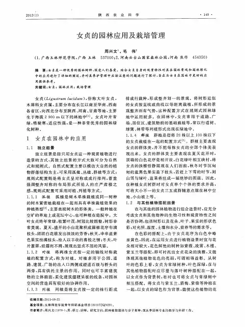 女贞的园林应用及栽培管理