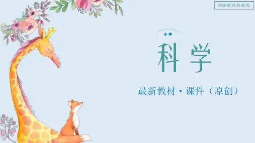 【青岛版】2020春季最新小学科学五年级下册《17.夏季星空》PPT课件 (2)