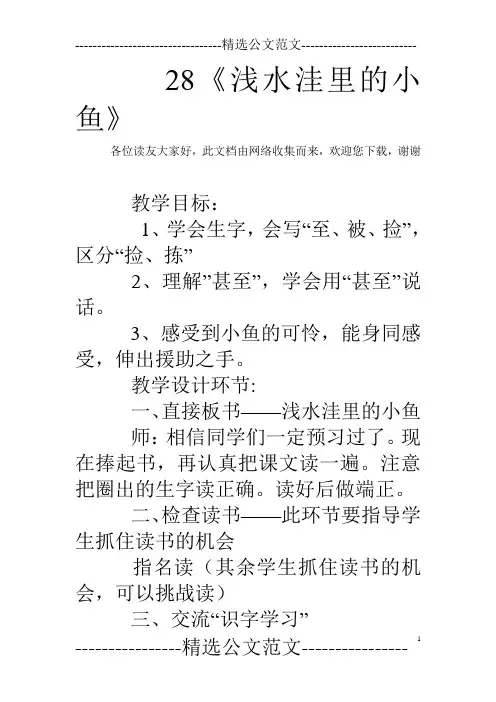 28《浅水洼里的小鱼》