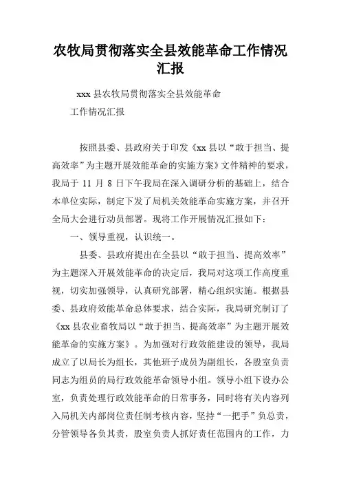 农牧局贯彻落实全县效能革命工作情况汇报