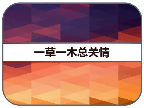 一草一木总关情 话题作文“乡情” 评析  PPT