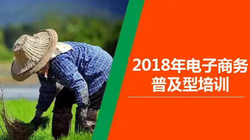 2018电子商务普及培训