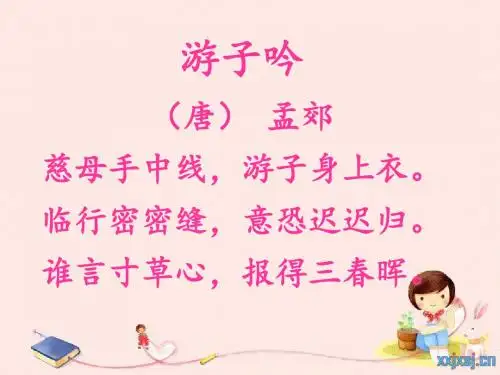 妈妈的爱