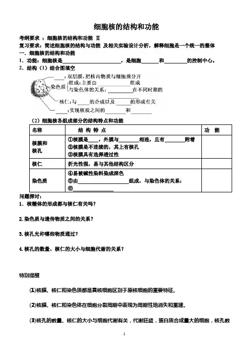 细胞核的结构和功能学案