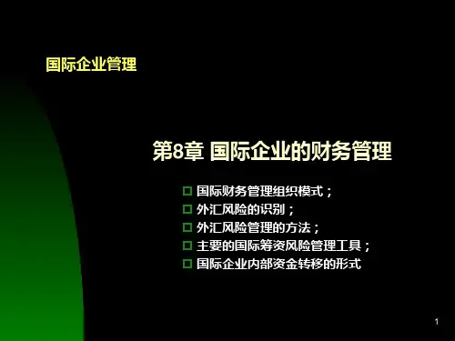 第8章国际企业的财务管理
