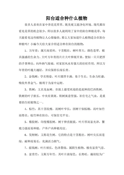 阳台适合种什么植物