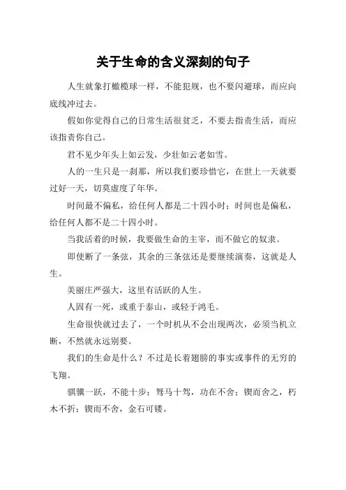 关于生命的含义深刻的句子