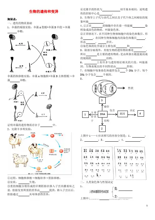 八年级生物下册 第4单元 第4章 生物的遗传和变异知识