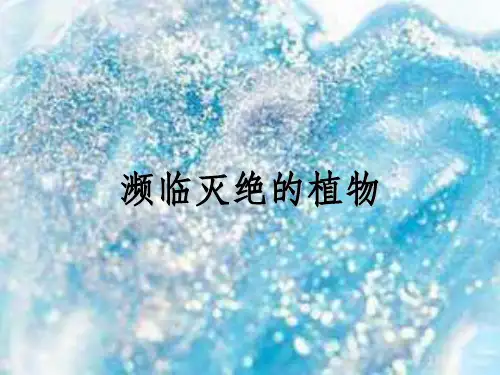 《濒临灭绝的植物》PPT课件