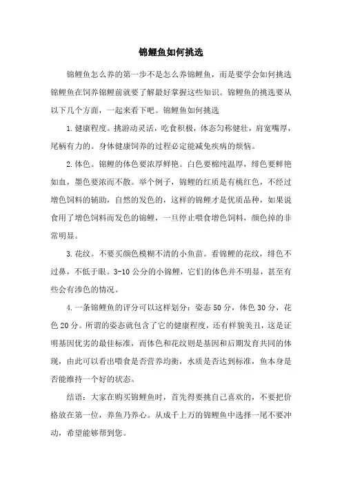 锦鲤鱼如何挑选