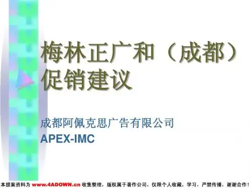 梅林正广和(成都)促销建议