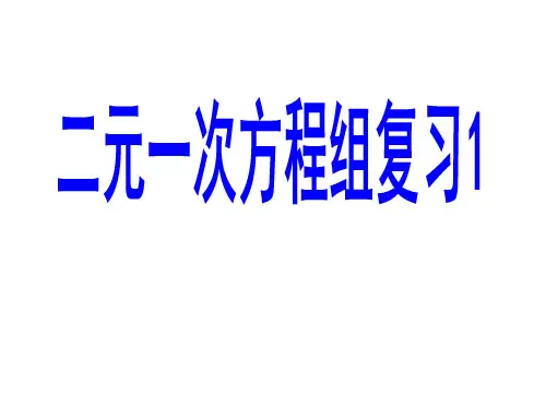 新人教版七年级数学下册《八章 二元一次方程组  复习题8》课件_30