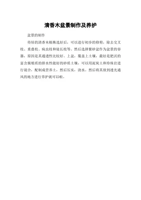 清香木盆景制作及养护