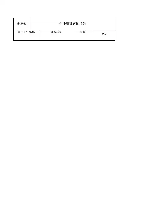 企业管理咨询报告 (1)